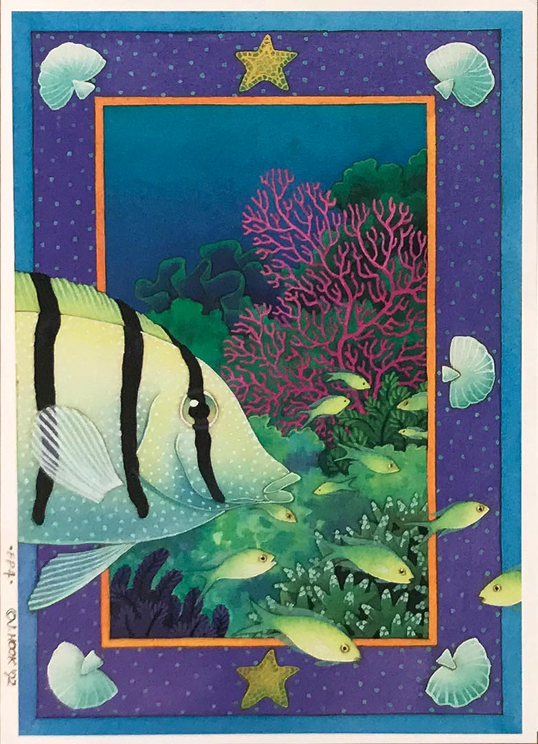 FP4-Surgeonfish